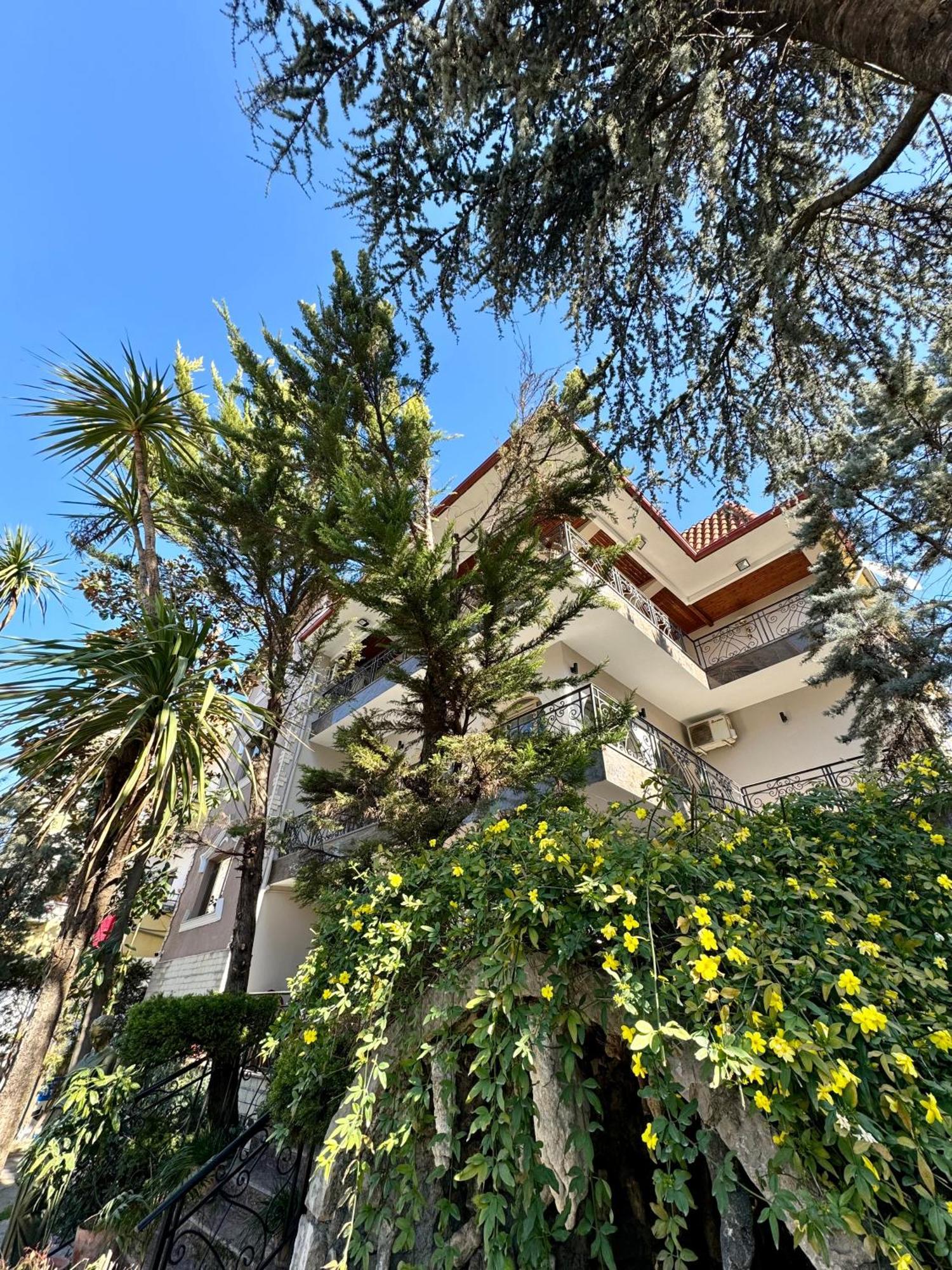 Vila Alizee Hotel Tirana Exteriör bild